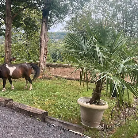 Le Ozalee - Domaine Helaku 4* Monein